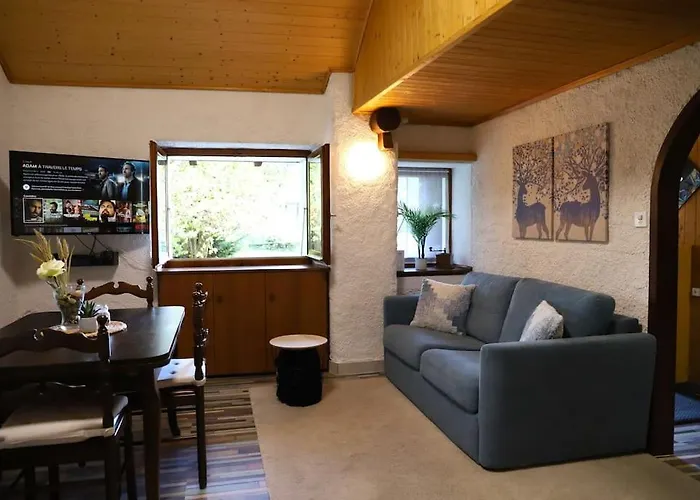 Chalet Villa Maria With Mountain View - Netflix Mesocco photo