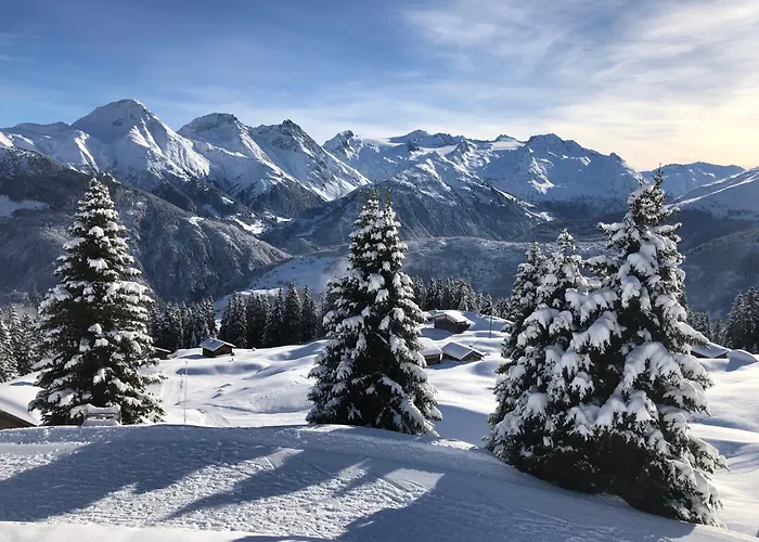 Hotel Alpsu Disentis photo