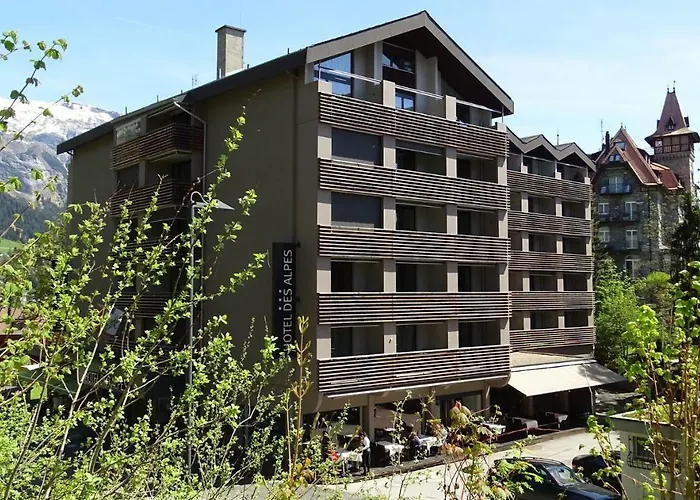 Hotel Des Alpes Flims photo